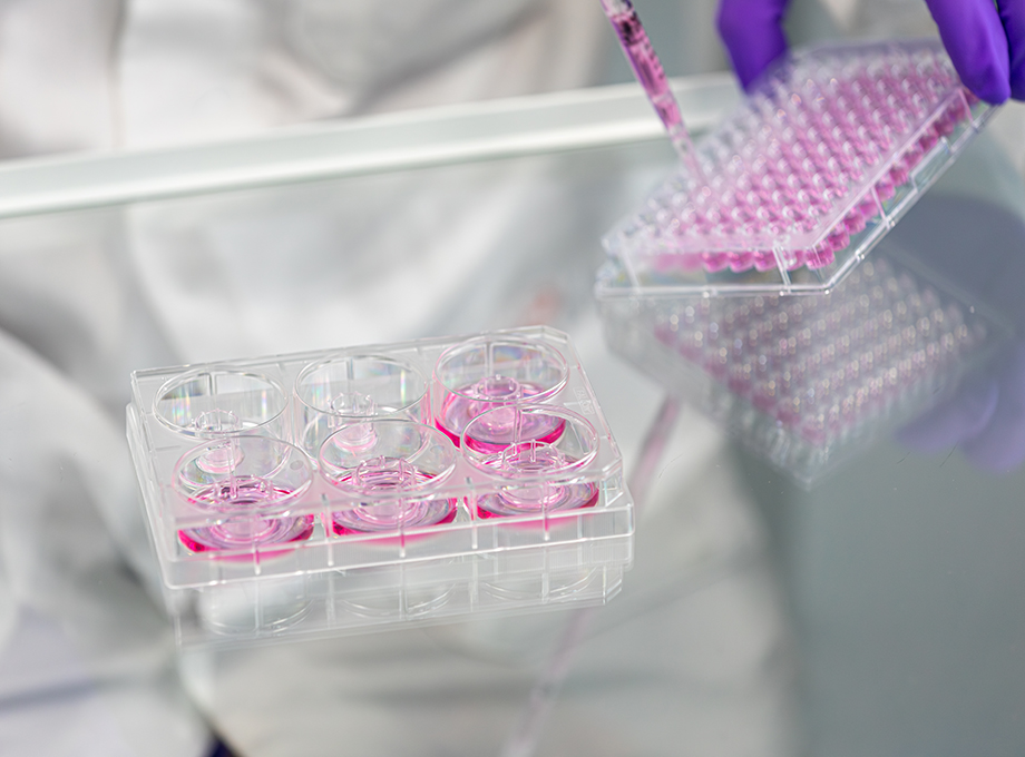 News 13th Academy China