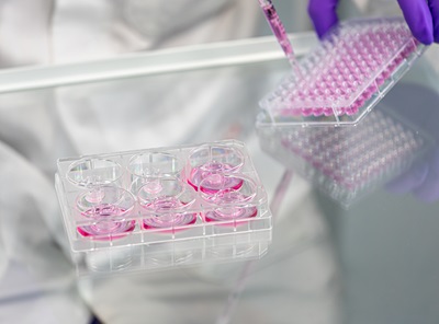 Training SkinEthic models China