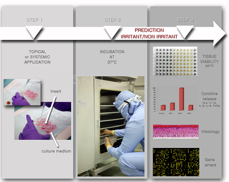 invitro-testapproach01-2015-cr